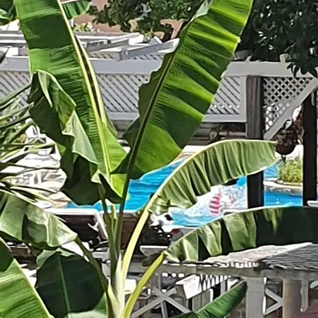 Charis Acharavi Beach Apartment Apartment